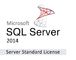10명의 클라이언트와 가진 1개의 서버 마이크로소프트 SQL 서버 2014 표준판 4 핵심